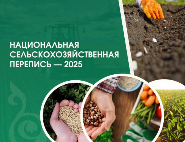    Национальная сельскохозяйственная перепись  в Акмолинской области