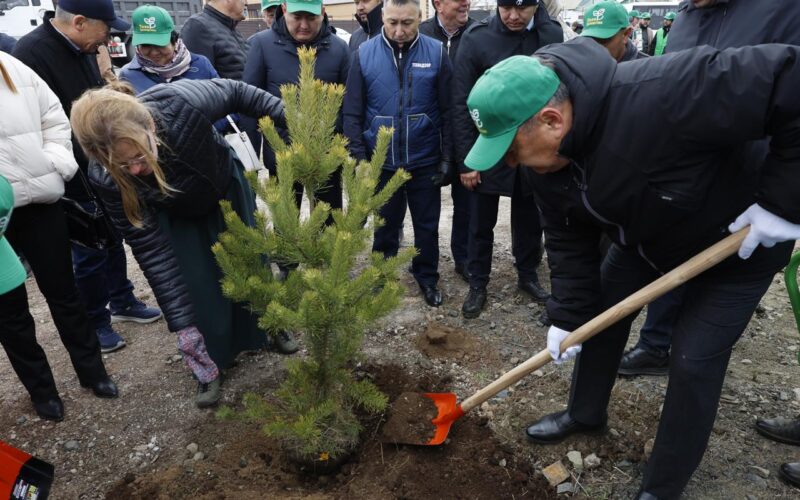 Жители Акмолинской области очистили свыше 100 тысяч квадртаных метров территорий в рамках акции «Таза Қазақстан»