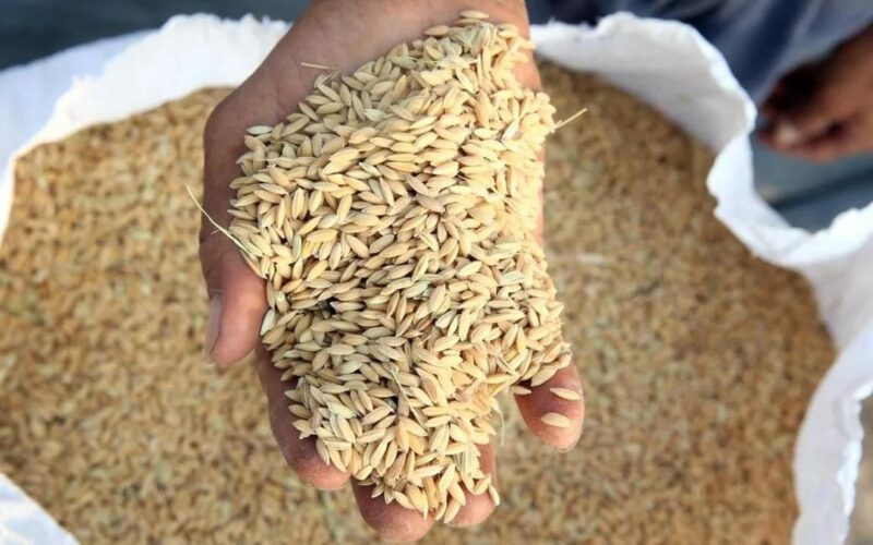 Два миллиона тонн зерна экспортировал Казахстан за месяц