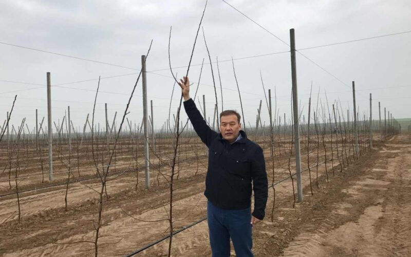 Казахстан движется в правильном направлении – депутат