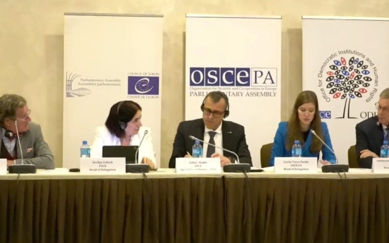 ДИАҚБ рәсімдердің жариялылығы мен сайлау процесінің адал өтуін қамтамасыз ету шараларын атап өтті