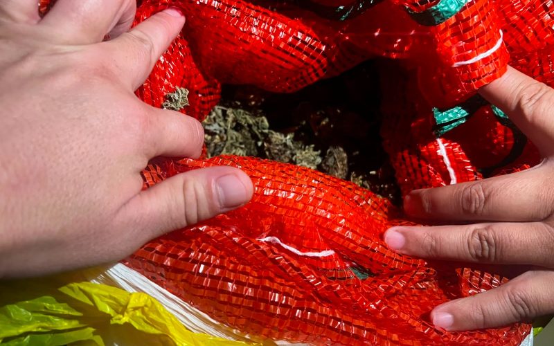 Около 10 кг марихуаны изъяли полицейские в Акмолинской области