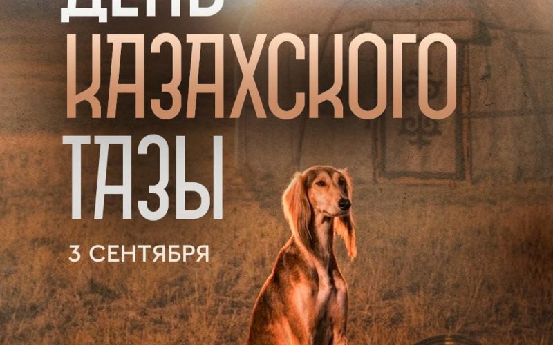 Сегодня мы впервые отмечаем День казахского тазы и тобета