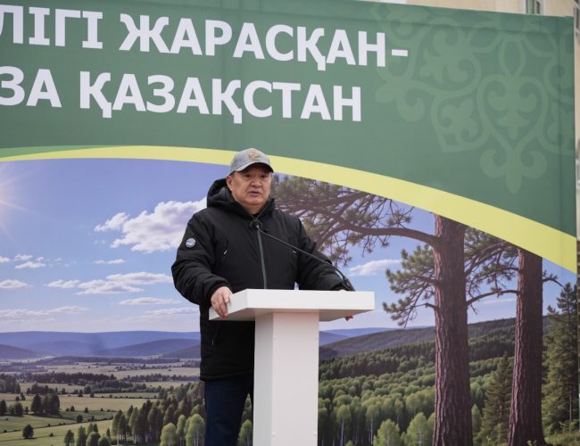 В новом парке Кокшетау высадили 80 саженцев в рамках акции «Таза Қазақстан»
